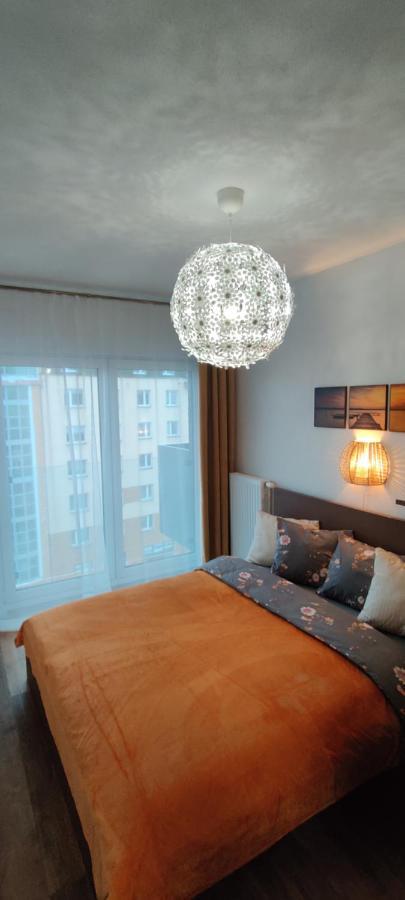 Ferienwohnung Zebra Breslau Exterior foto